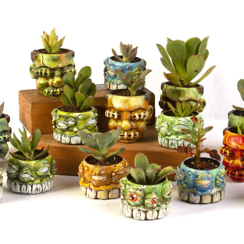 succulent-3_2x